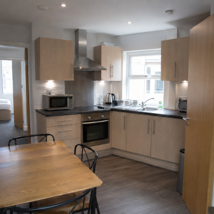 Two Adult Twin Family Apartment